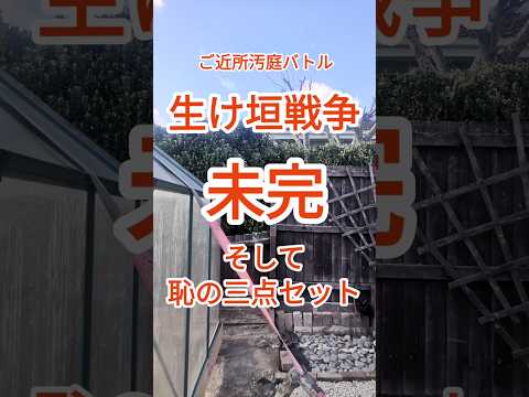 haie-jardin-if-haute-fleurs haie de jardin