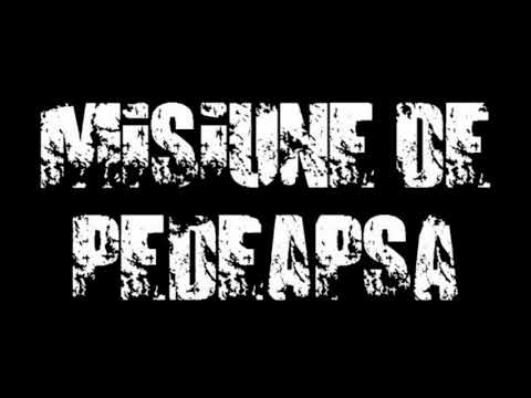 Misiune de Pedeapsă -  Decontaminare