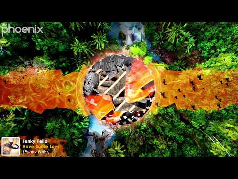 Funky Fella - Have Some Love