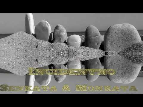 Сенката & Monkata - Инцидентно (2010)