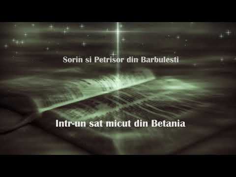 Sorin si Petrisor din Barbulesti- Lazar-Intr-un sat micut din Betania (muzica crestina de colectie)