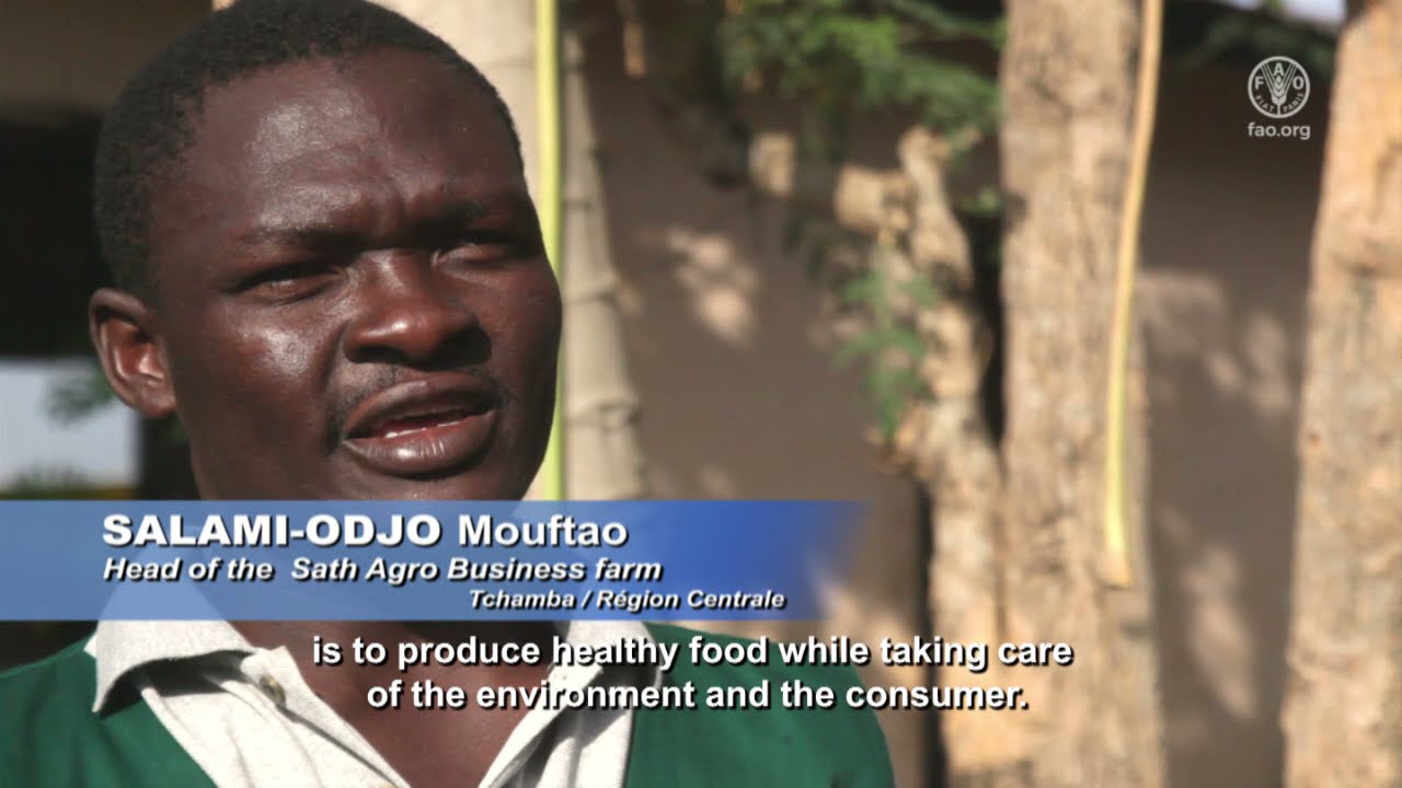 Contribution des organisations de producteurs forestiers et agricoles