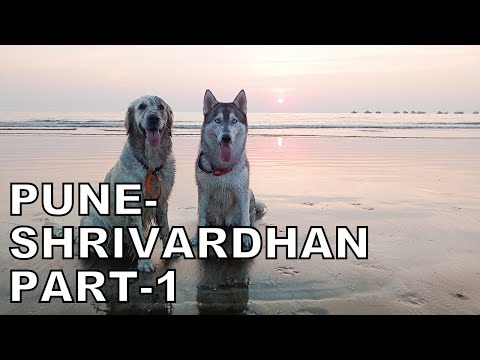 Beach trip with the dogs | Shrivardhan Beach trip