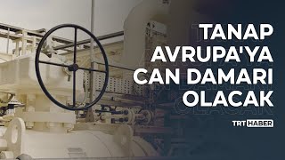 TANAP Avrupa'ya can damarı olacak