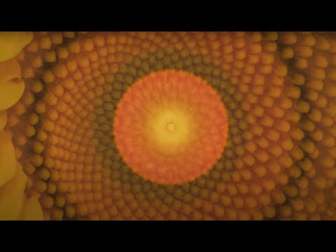 Mellow Psychedelic Journey | Calming & Beautiful (20 min, no ads during video)