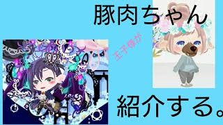 ポケコロ実況9【豚肉】