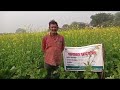 रामचरन ग्राम गुरदहा मौदहा हमीरपुर उत�