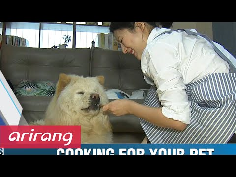 Business Daily(Ep.238) Cooking for pets _ Full Episode