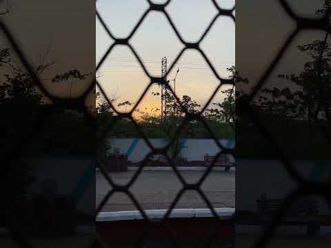 #natureshorts #nature #youtubeshorts 💚🌞