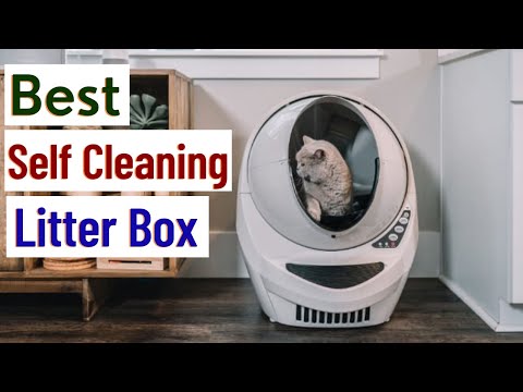 Best Self Cleaning Litter Box 2022 |  Best Self Cleaning Cat Litter Box - Make Your Cleaning Easier