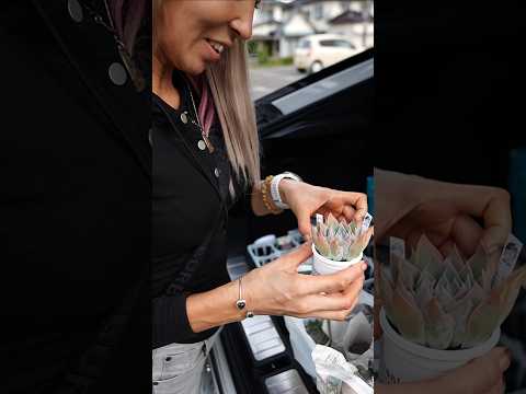 あなたにぴったりの屋外開花多肉植物はどれですか?あなたの庭を明るくする5つの可能性!  庭園