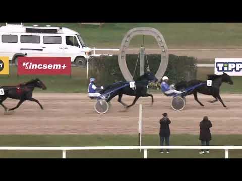 2022.11.12. Napi összefoglaló