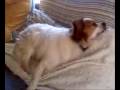 Jeter Sleeps Dramatically