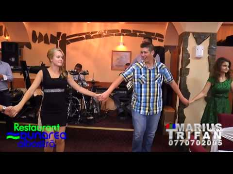 02 Majorat Andrei - Lucian Cojocaru 2014 Live Dunarea Albastra