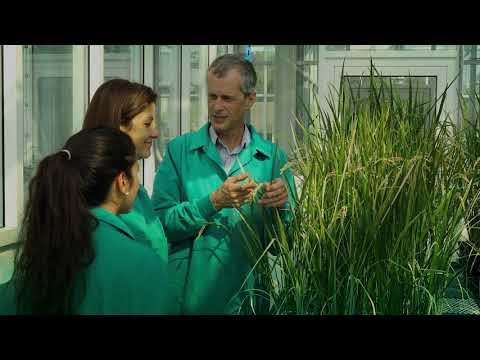 KAUST Innovations in Food Production Research