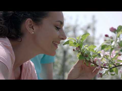 Wiedersehn in Schenna - Tiroler Herz