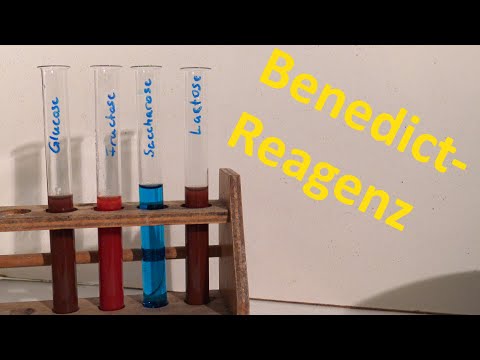 Benedict Reagenz - Eine Alternative zur Fehling-Probe
