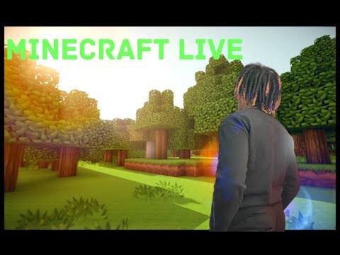 Can't Believe This Happened in My First Minecraft Live Stream!!