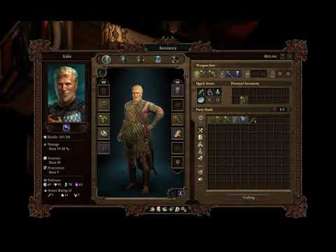 Let's Play Pillars of Eternity II Deadfire - 40 - no commentary