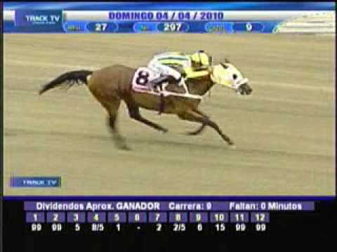 Resumen domingo 4 de abril 2010 - La Rinconada
