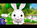 Sleeping Bunnies Lagu Anak Anak Learn English Kids Cartoons Little Baby Bum