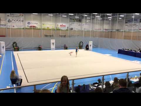 Ingrid Bratsberg. Vimpel. Skjeberg 2015.