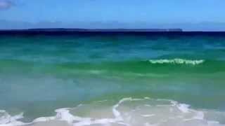 preview picture of video 'SHARK IN (Hyams Beach) JERVIS BAY / AUSTRÁLIA!!!'