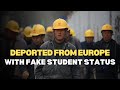 FAKE Student Status Explained Poland Will DEPORT All