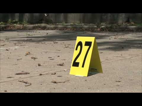 NYPD Illegal Firearms