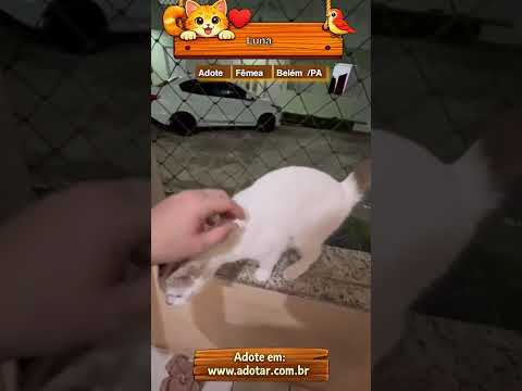 Vídeo de Luna