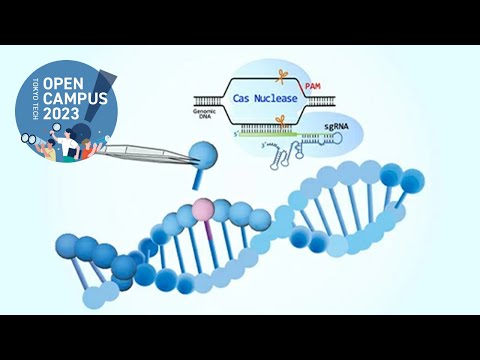 ゲノム編集で遺伝子の機能を変える / 東工大オープンキャンパス2023