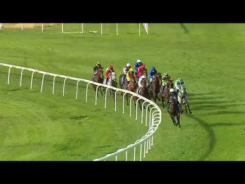 Clearly Innocent wins the Luskin Star