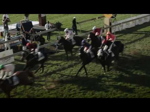 Golden Horse Sprint Promo 2016