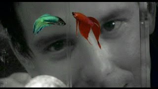 Mark Lanegan - Hit The City