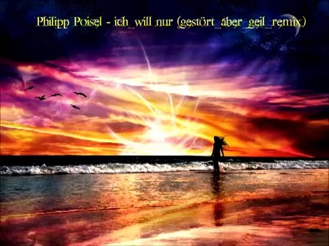 Philipp Poisel Ich will nur gestört aber geil remix