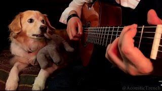 Wake Me Up When September Ends by Green Day (Solo Guitar Cover)