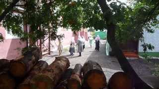 Рыбалка в губино орехово-зуевского района