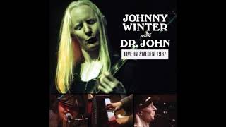 Johnny Winter with Dr. John - Live In Sweden 1987 (Full Album) HQ