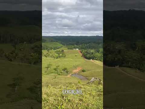 Rio Acuraua, Tarauacá, Acre, Brasil. #jesus #nature