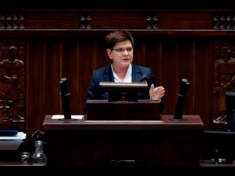 Maska na włosy z jaj i oleju łopianu Pokrzywka olej z nadmiarem włosów