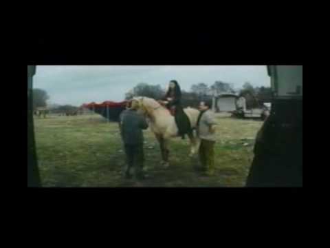 Szenen aus »Schröders wunderbare Welt«