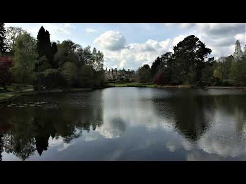 Thumbnail for Dublin Lute Book version of John Johnson's Delight Pavin by John Johnson