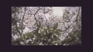 Download lagu Cover vidio clip rocket rockers - ingin hilang ingatan mp3