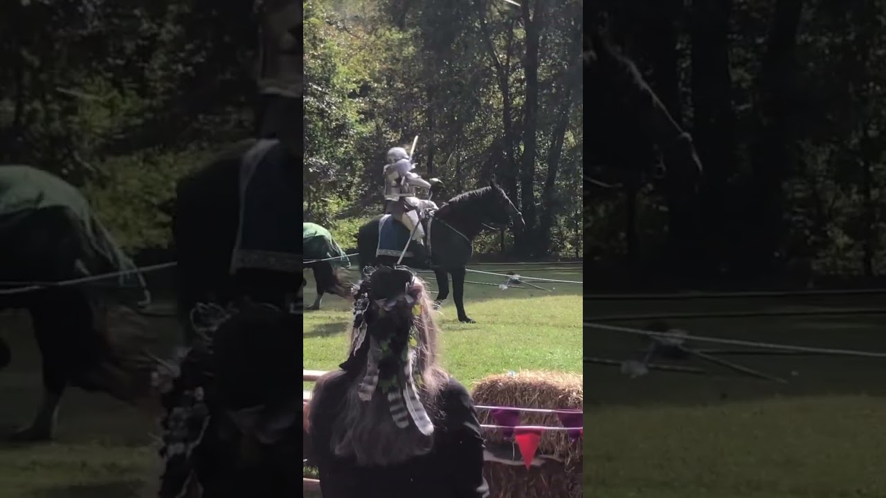 Despite the broken lance in his armor, the knight was not injured! #imaginedpast #knight #lance
