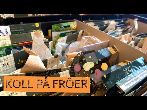 Koll på FRÖER - Jag går igenom fröpåsar och listor för att ha koll på årets inköp