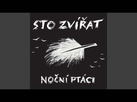 Noc je ještě mladá