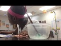 Making Slime In Class Starts An Argument Vlogmas Day 1