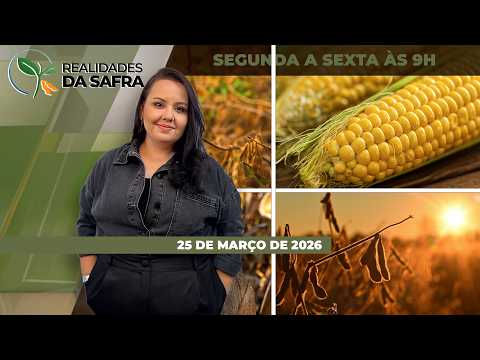 Em Nova Mutum e Campo Novo do Parecis, em MT, plantio do milho safrinha avança, mas negócios....