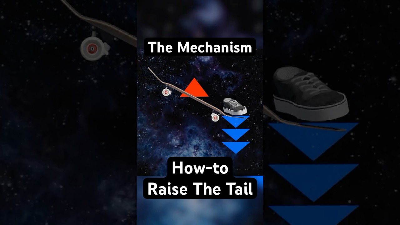 How Does The Tail Lift in An Ollie? #3d #science #skateboarding