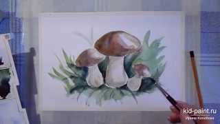 Смотреть онлайн Как нарисовать грибы акварелью поэтапно